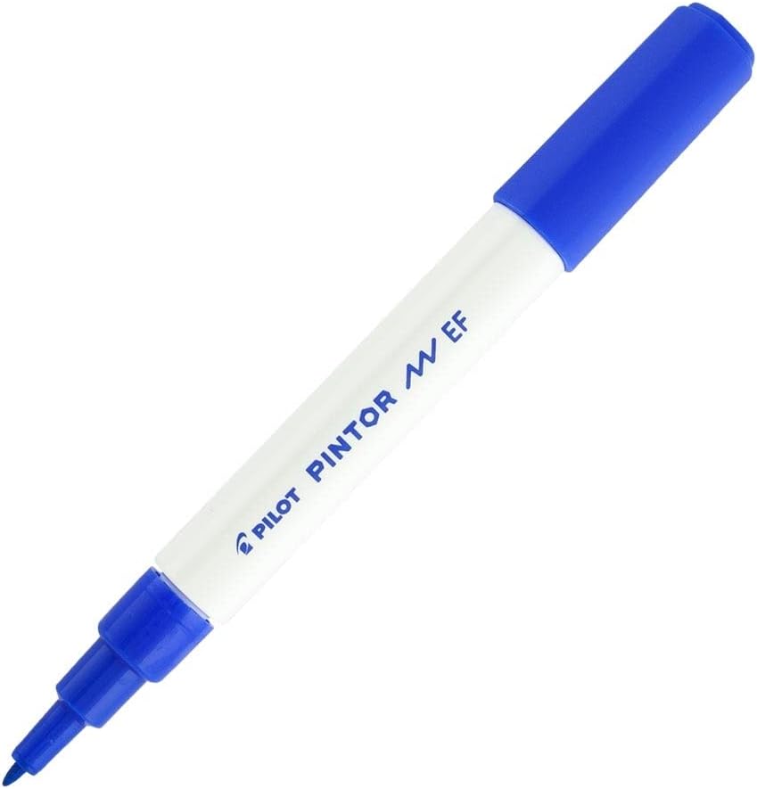 Alternative view of Pilot Pintor EF, Mavi