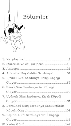 Alternative view of Gökten Düşen Köpek