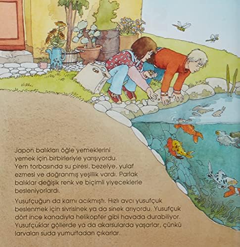 Alternative view of Eğlenceli Bilim – Su Altı