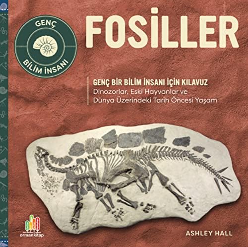 Alternative view of Fosiller – Genç Bir Bilim İnsanı İçin Kılavuz