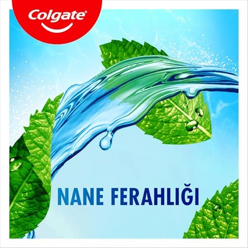 Plax Nane Ferahlığı Plağa Karşı Ağız Bakım Suyu 500 ml
