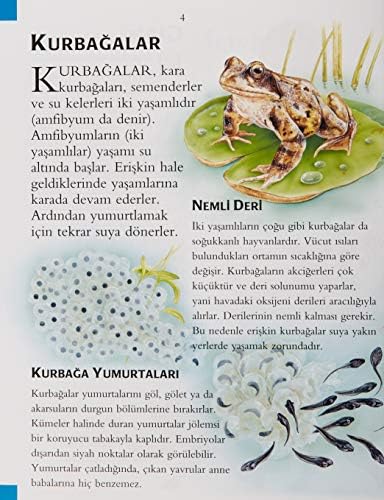 İLK BİLİM KÜTÜPHANEM HAYVANLARIN DÜNYASI: İlk Bilim Kütüphanem - Resimli