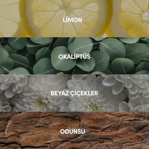 Alternative view of EDP Erkek Parfüm 100 ml | Ferah - Deniz - Narenciye| Aromatik, Limon, Gül