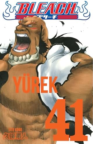 Alternative view of Bleach 41. Cilt