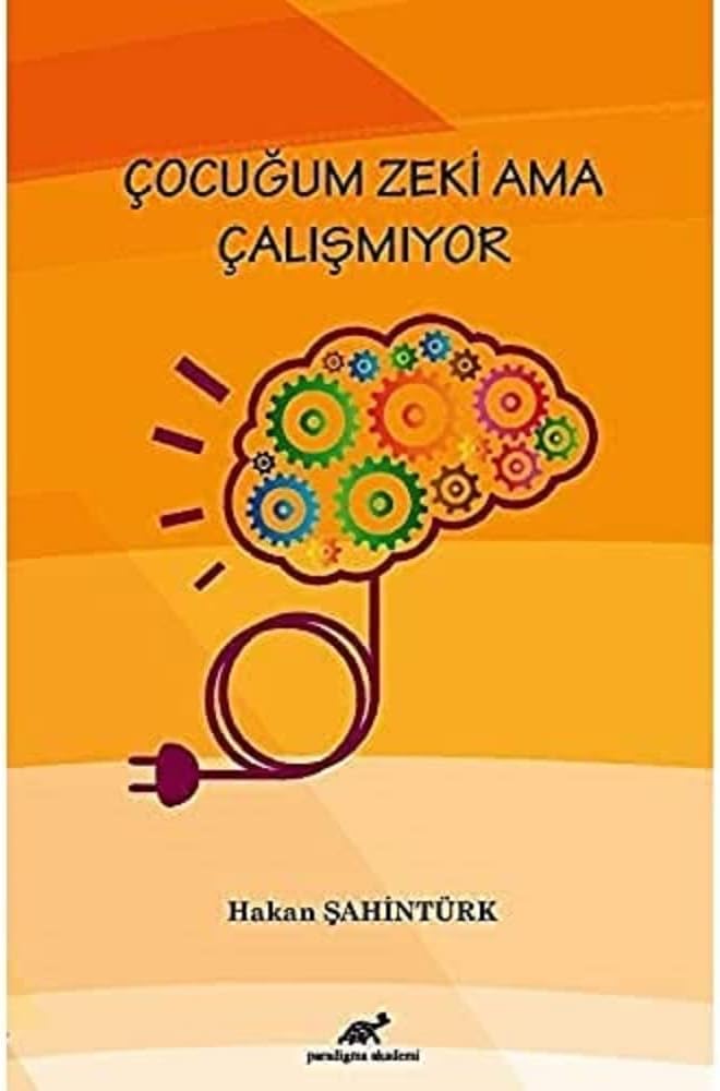 Çocuğum Zeki Ama Çalışmıyor