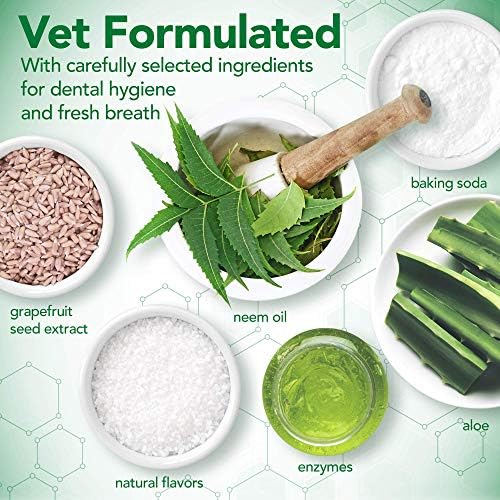 Alternative view of BEST Aloe Vera ve Nane Özlü Köpek Diş Macunu 100 gr ve Parmak Fırça