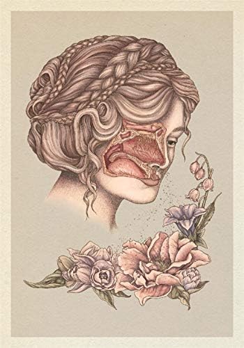 Alternative view of Anatomicum Postcard Box