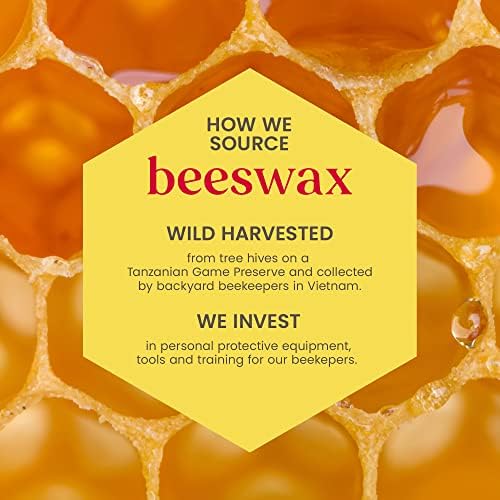 Alternative view of Burt's Bees 2li Lip Balm Set (Beeswax + Vanilya)