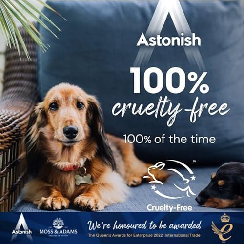 Astonish Air Fryer Temizleyici Sprey 750Ml