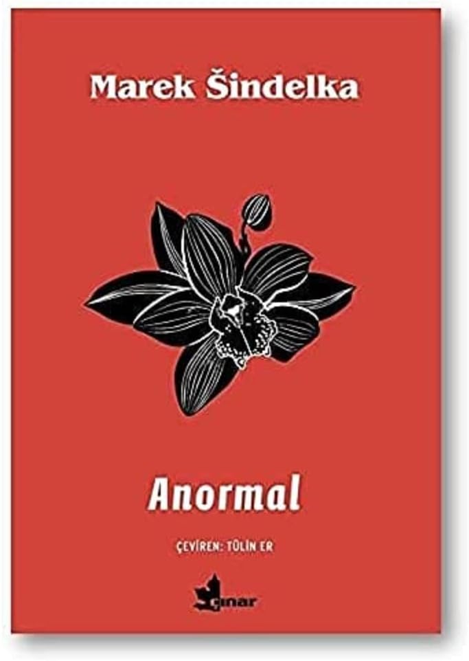 Anormal