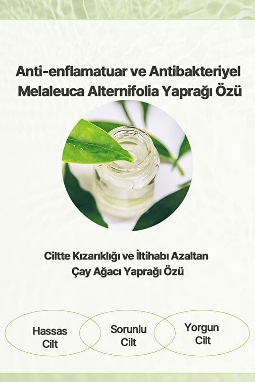 Alternative view of Byeolee Tea Tree Cilt Bakım Kremi 50 gr