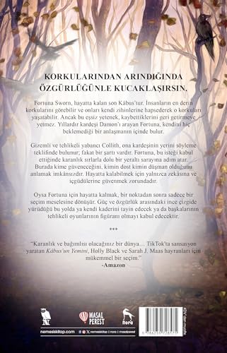 Alternative view of Kabus'un Yemini