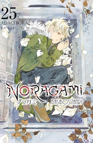 Alternative view of Noragami 25. Cilt