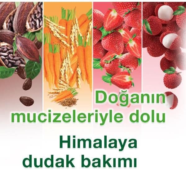 Alternative view of Himalaya Parlatıcı Dudak Kremi, Lip Balm, Çilek, Kayısı Çekirdeği Yağı, Nemlendirici,%100 Doğal Renk, Silikon İçermez, 4,5 gr