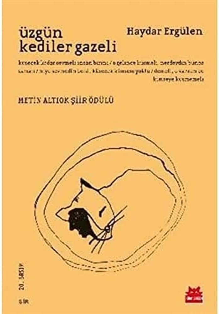 ÜZGÜN KEDİLER GAZELİ