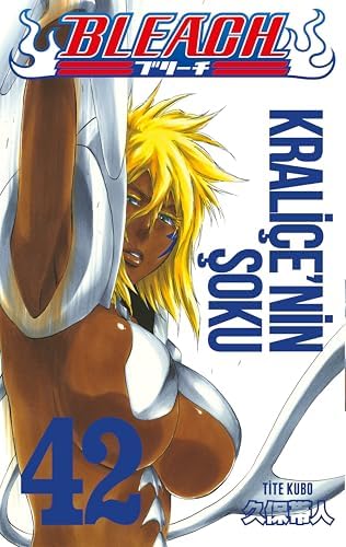 Alternative view of Bleach 42. Cilt