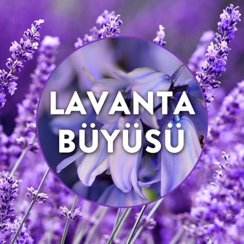 Alternative view of Elektrikli Yedek Lavanta Bahçesi