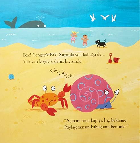 Bir Kabuğu Paylaşmak