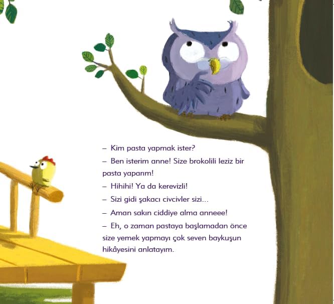 Alternative view of Yemek Yapmayı Çok Seven Baykuş: Anne Tavuk Anlatıyor