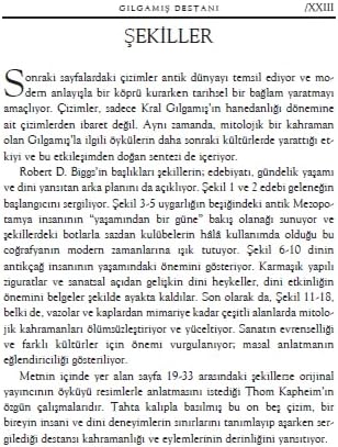 Alternative view of GILGAMIŞ DESTANI