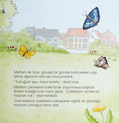 Alternative view of Meltem ile Uras Renkleri Keşfediyor: Eğlenceli Bilim