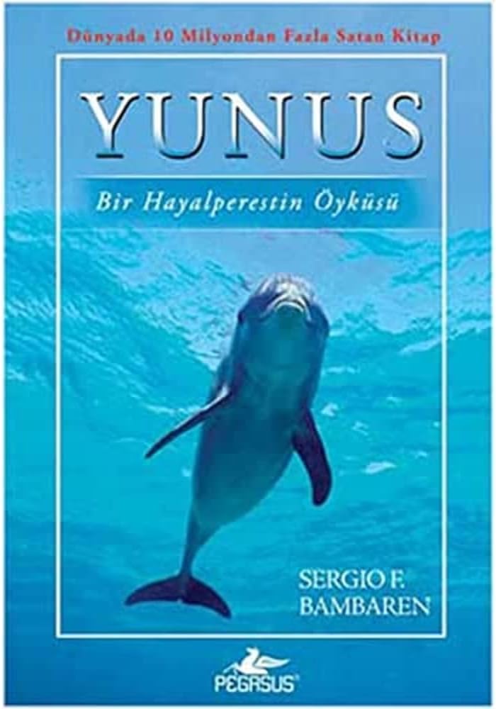 YUNUS BİR HAYALPERESTİN ÖYKÜSÜ: Bir Hayalperestin Öyküsü