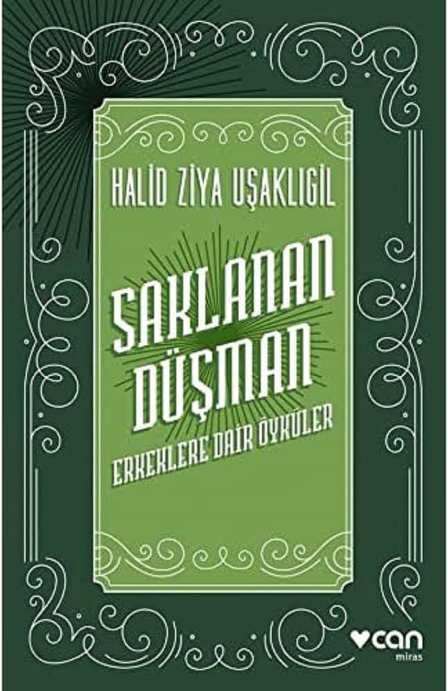 Saklanan Düşman: Erkeklere Dair Öyküler
