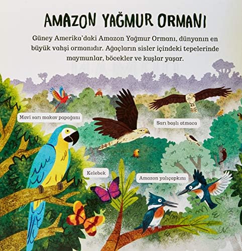 Alternative view of Çevremizdeki Dünya - Orman