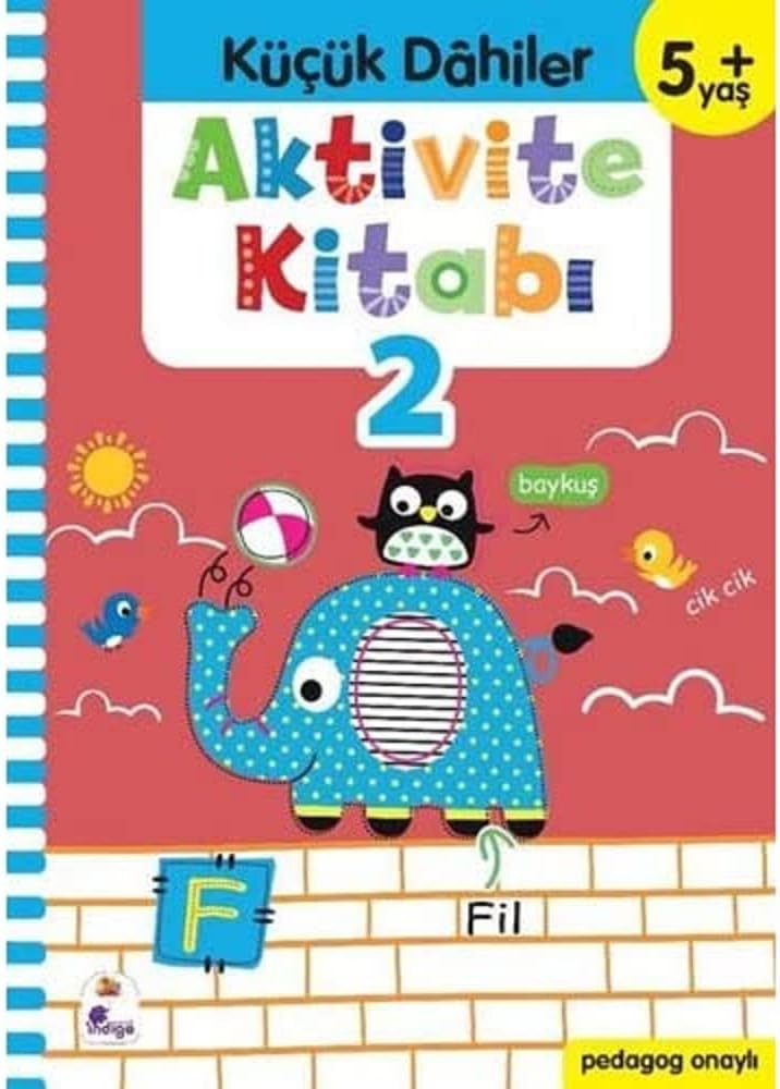 Aktivite Kitabı 2 - Küçük Dahiler 5+Yaş: Pedagog Onaylı