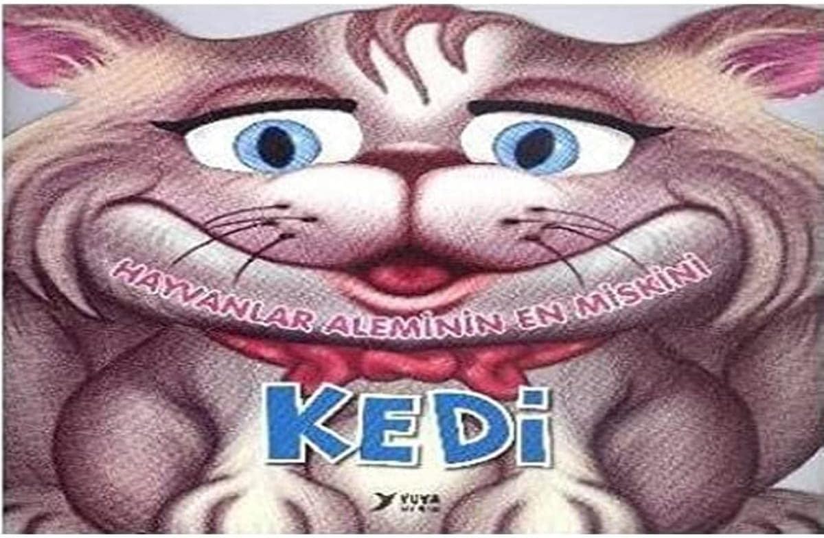 Hayvanlar Aleminin En Miskini Kedi