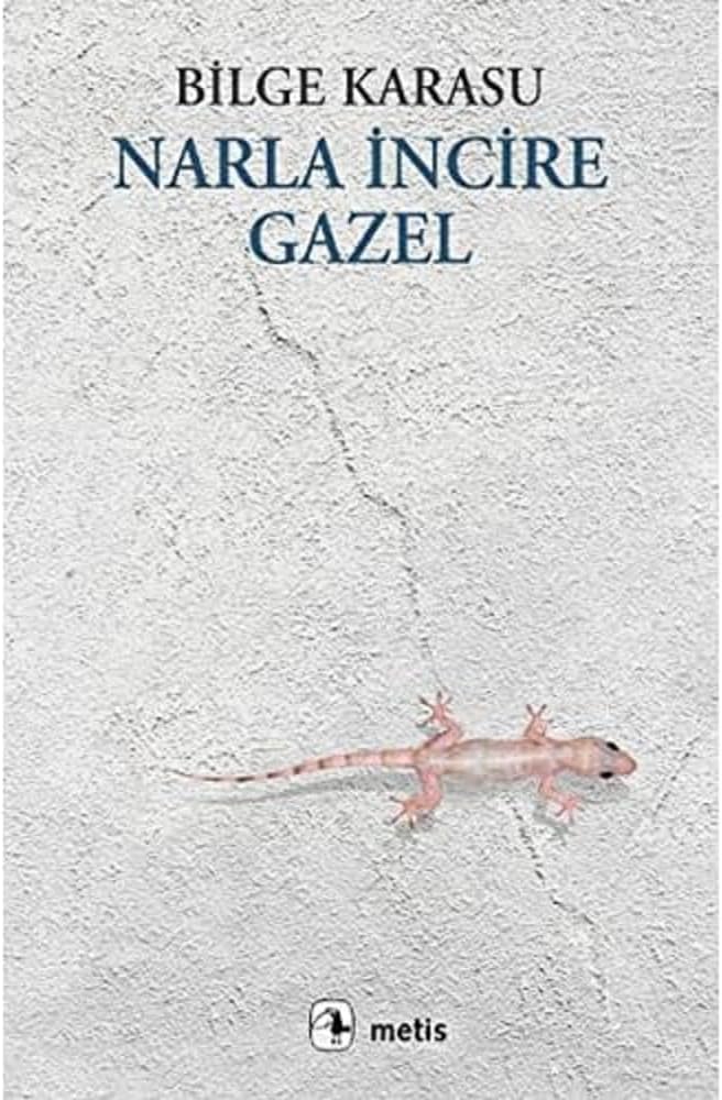 Narla İncire Gazel: Bütün Yapıtları - 7