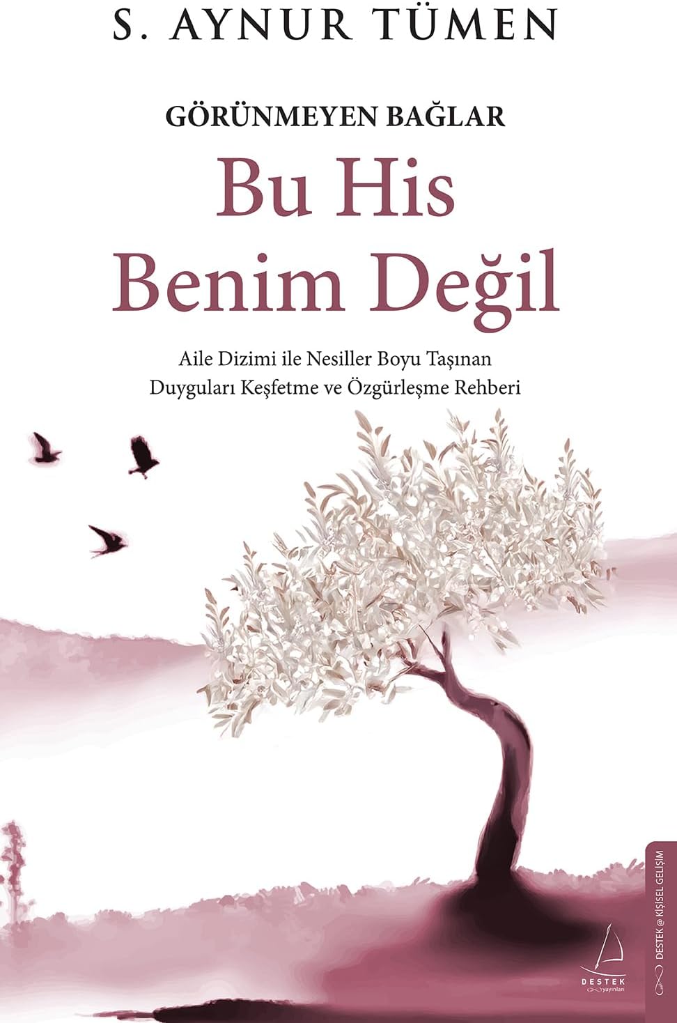 Bu His Benim Değil Görünmeyen Bağlar