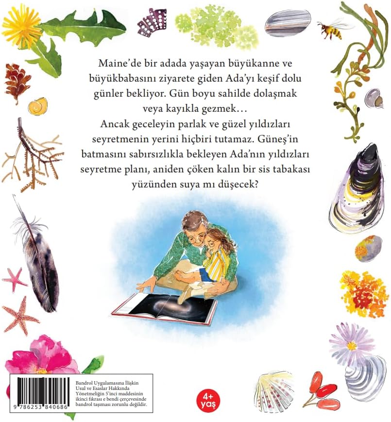 Alternative view of Ada ve Galaksiler