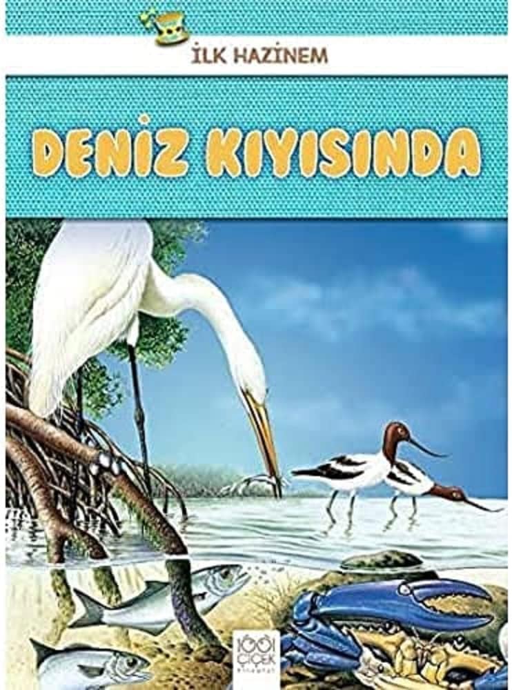 Deniz Kıyısında - İlk Hazinem