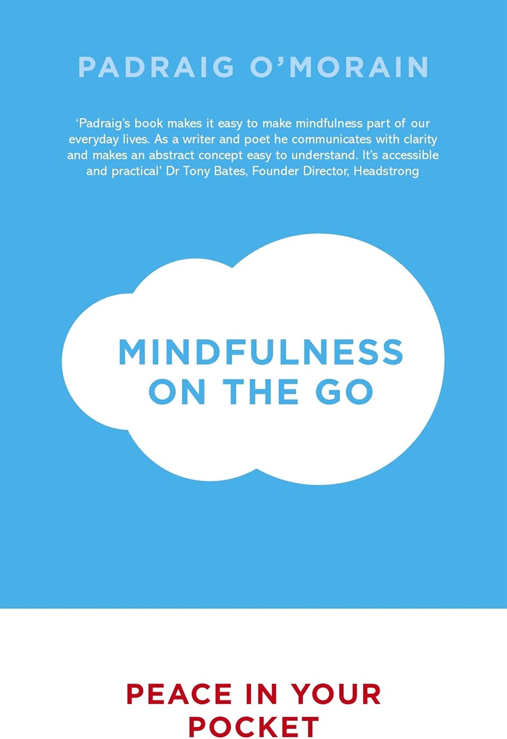 Mindfulness on the Go: Peace in Your Pocket