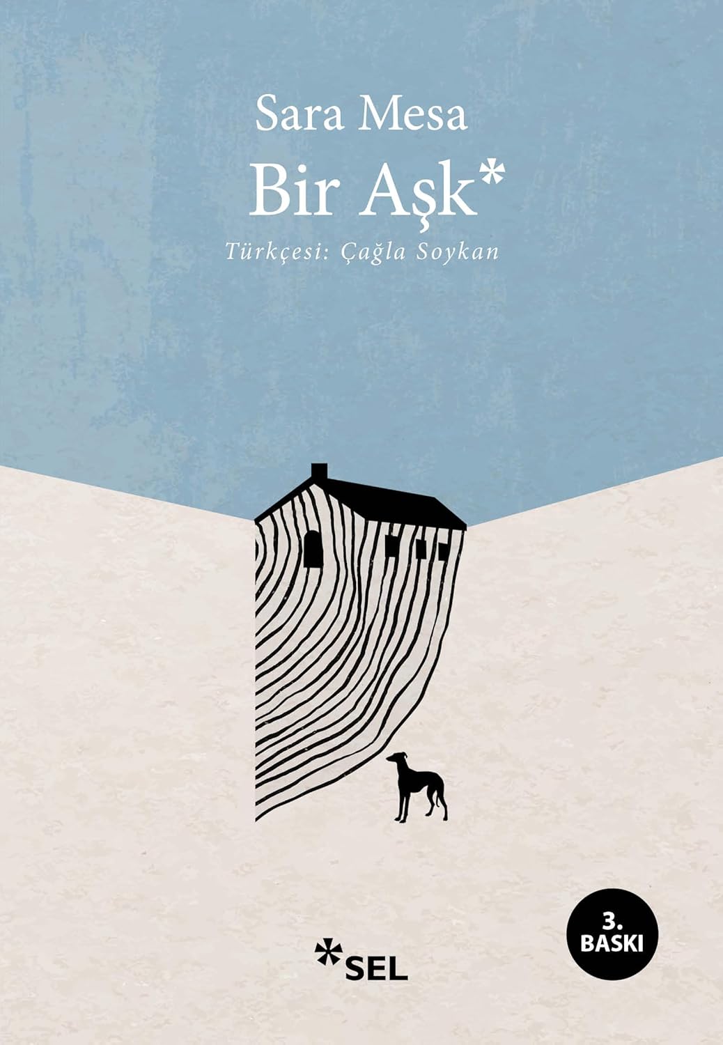 Alternative view of Bir Aşk