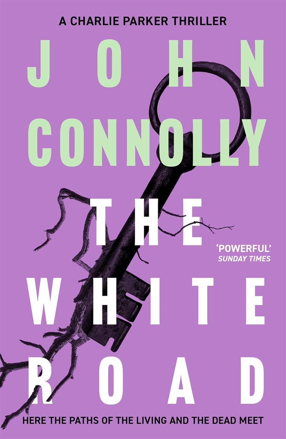 The White Road: Private Investigator Charlie Parker takes on evil in the fourth novel in the globally bestselling series: 4