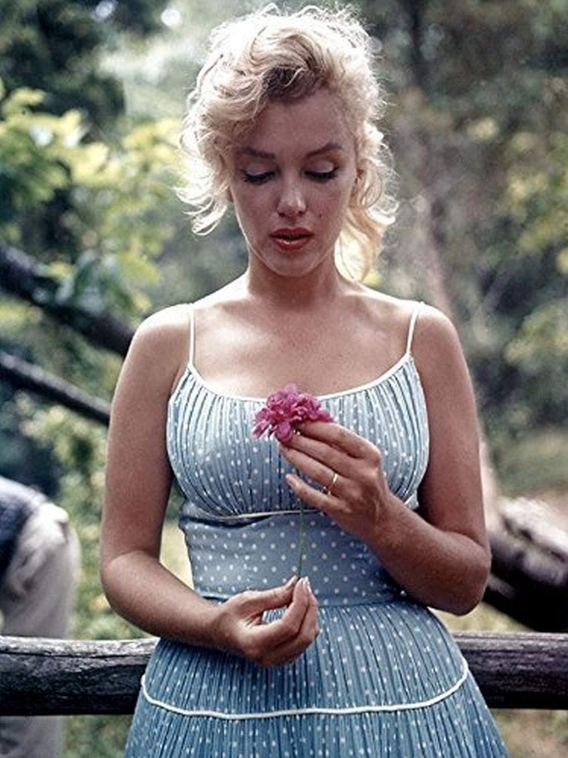 buyartforless Marilyn Monroe'nun Çiçekli Nadir Fotoğrafı 12x16 Sanat Baskılı Poster ABD'de Üretilmiştir
