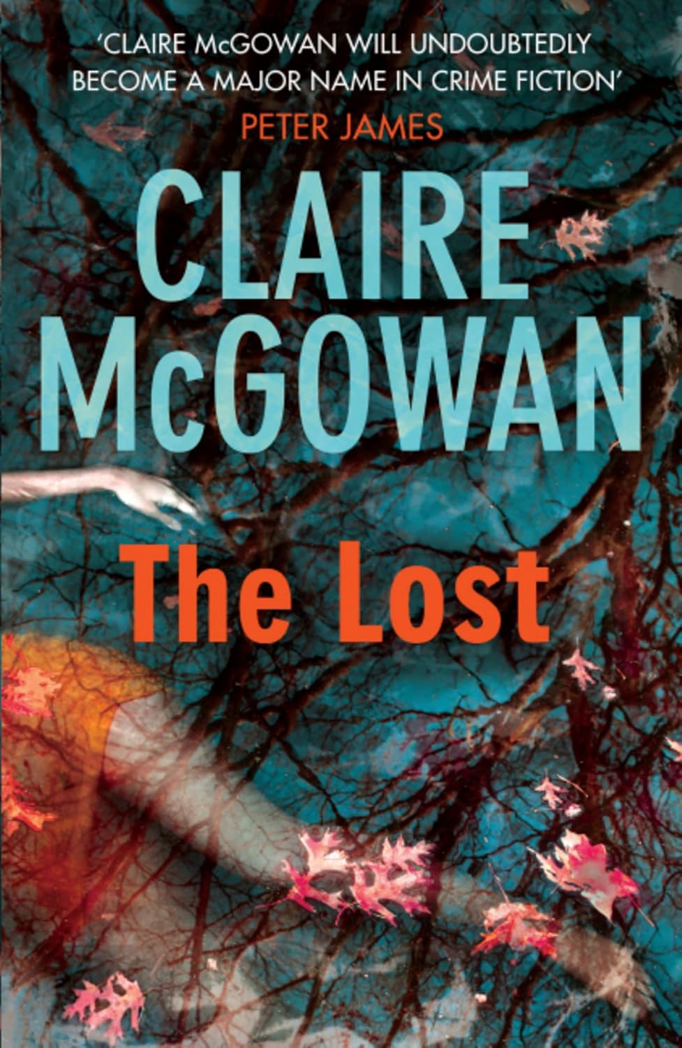 The Lost: A gripping Irish crime thriller with explosive twists: 1