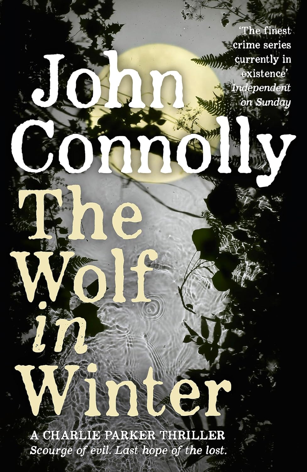 The Wolf in Winter: Private Investigator Charlie Parker hunts evil in the twelfth book in the globally bestselling series