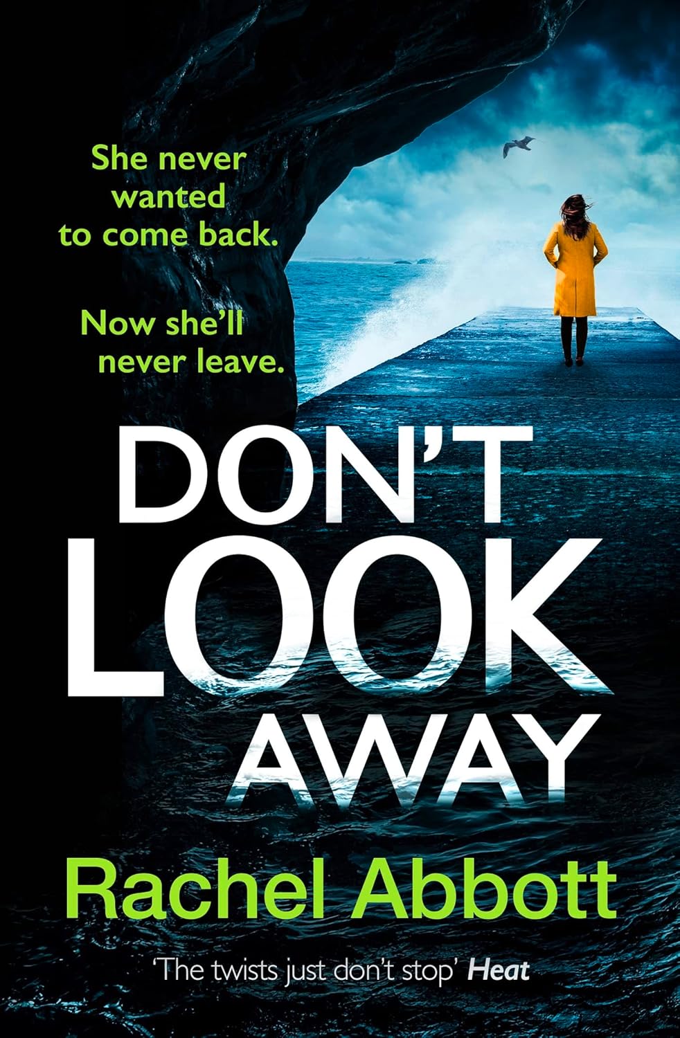 Don't Look Away: the pulse-pounding new thriller from the queen of the page turner