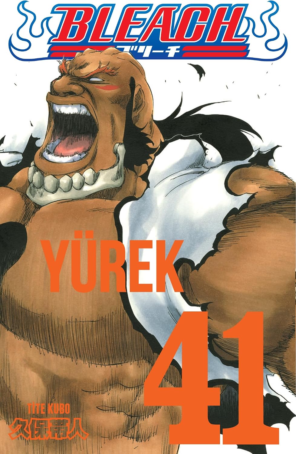 Bleach 41. Cilt