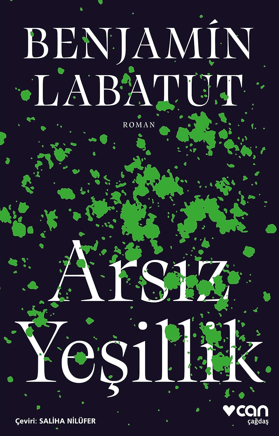 Alternative view of Arsız Yeşillik