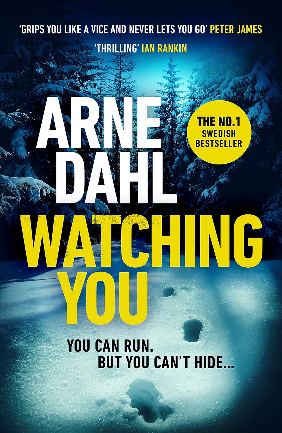 Alternative view of Watching You: 'Grips you like a vice and never lets you go’ Peter James