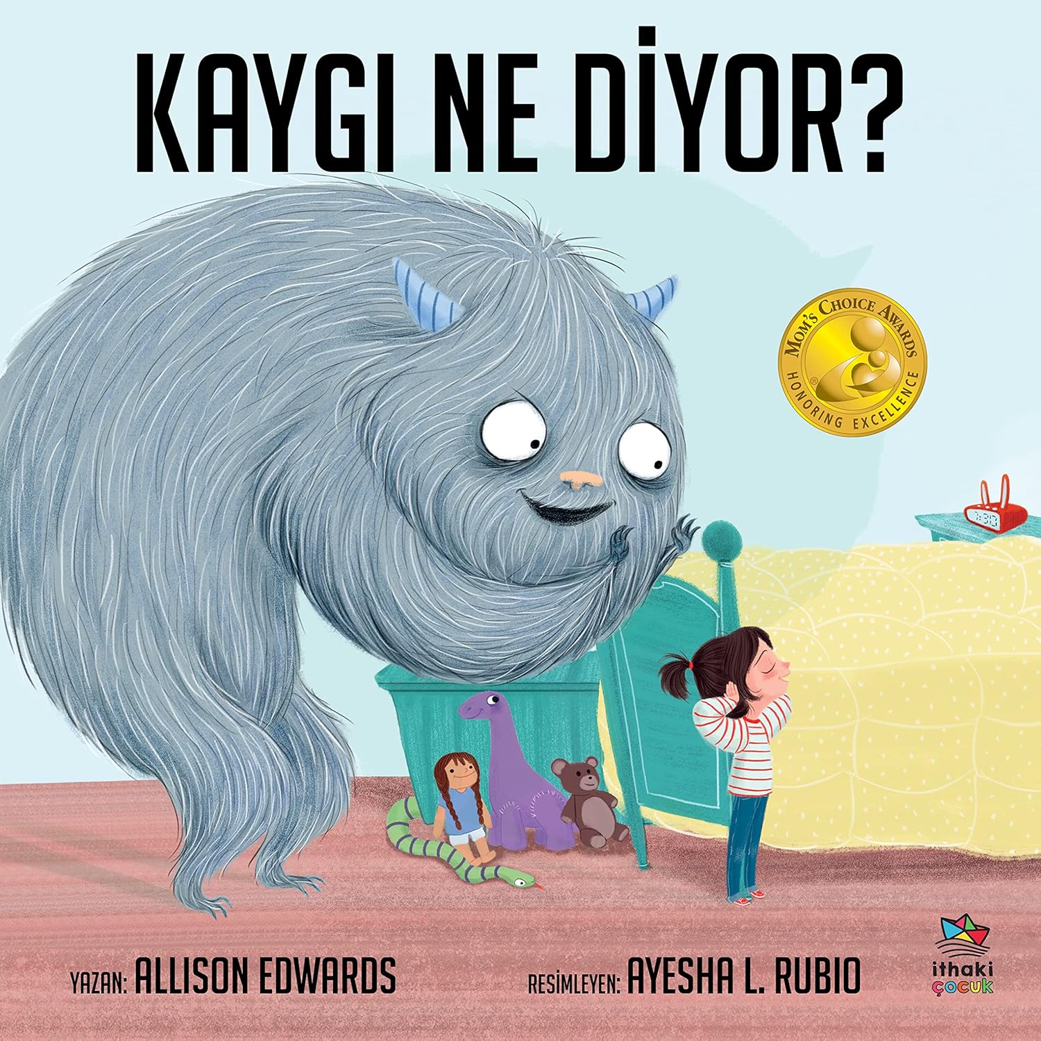 Alternative view of Kaygı Ne Diyor?