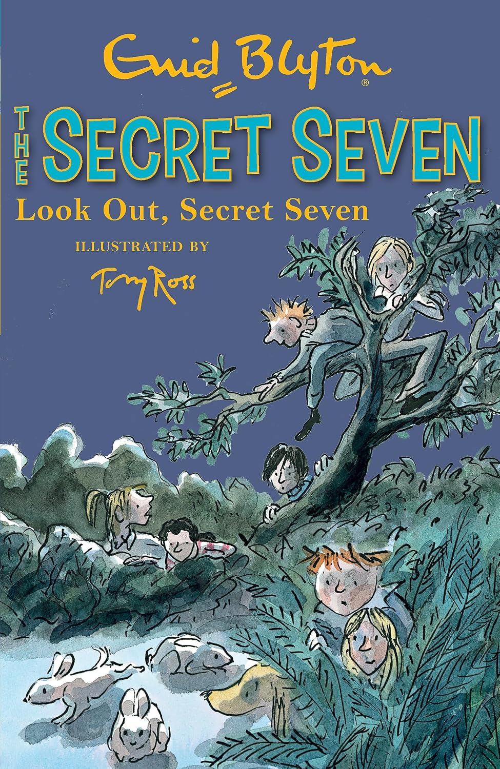 Secret Seven: Look Out, Secret Seven: Book 14