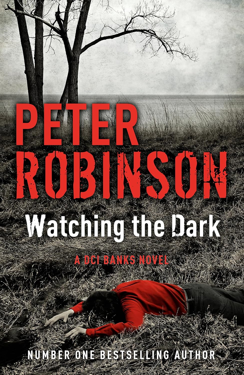 Watching the Dark: The 20th DCI Banks novel from The Master of the Police Procedural