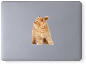Karışık 260 adet sevimli kediler notebook, tablet, telefon sticker seti (20 sayfa) Tek Ebat