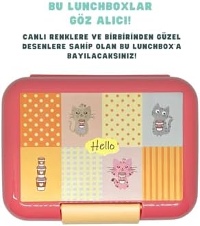 1600ml Lunchbox Sevimli Kedi Desenli Tek Katlı 2 Bölmeli PP Plastik Sefer Tası Yemek Kutusu