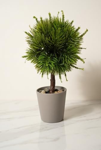 Modern Top Formlu Yapay Çam Bonsai, Taş Dolgulu Gri Saksıda Mini Ağaç, Çalışma Masası ve Raf Dekorasyonu